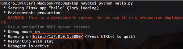 Flask run server