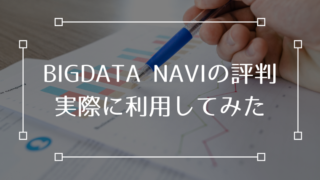BIGDATA NAVI 評判