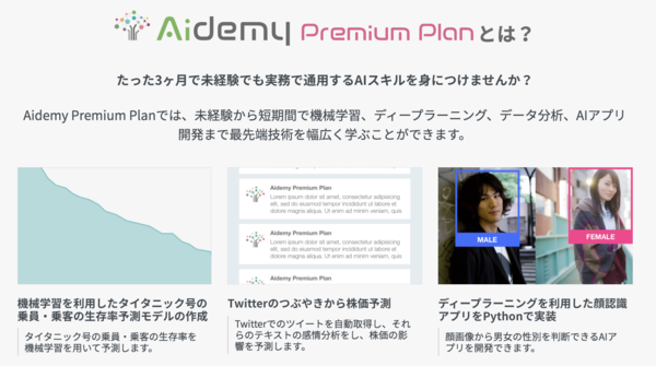 Aidemy Premium Plan