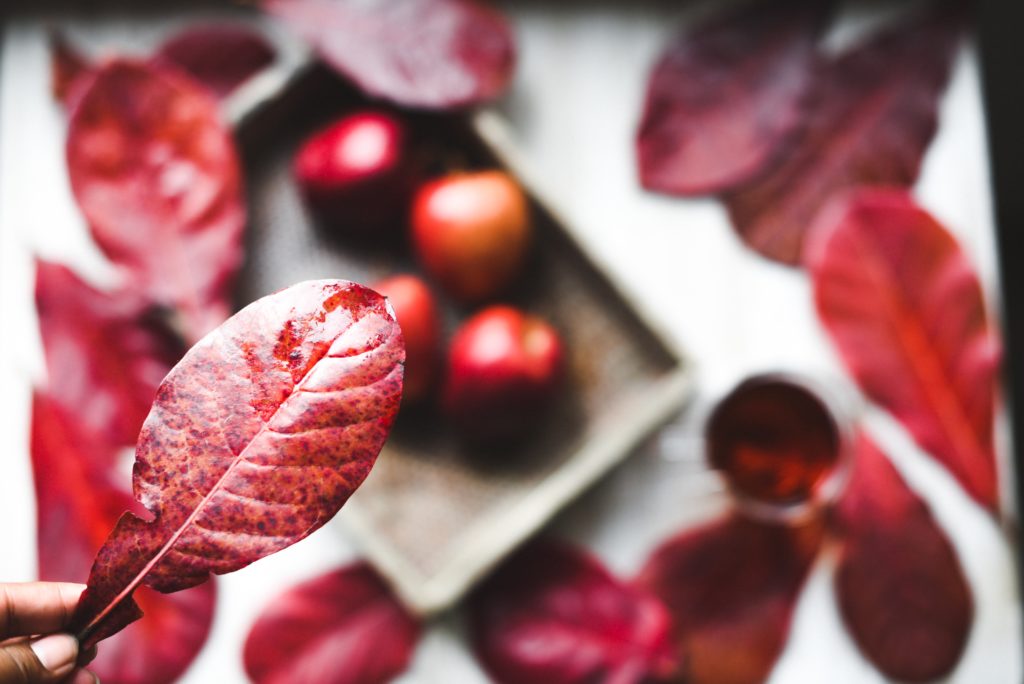 Udemy Ruby おすすめ