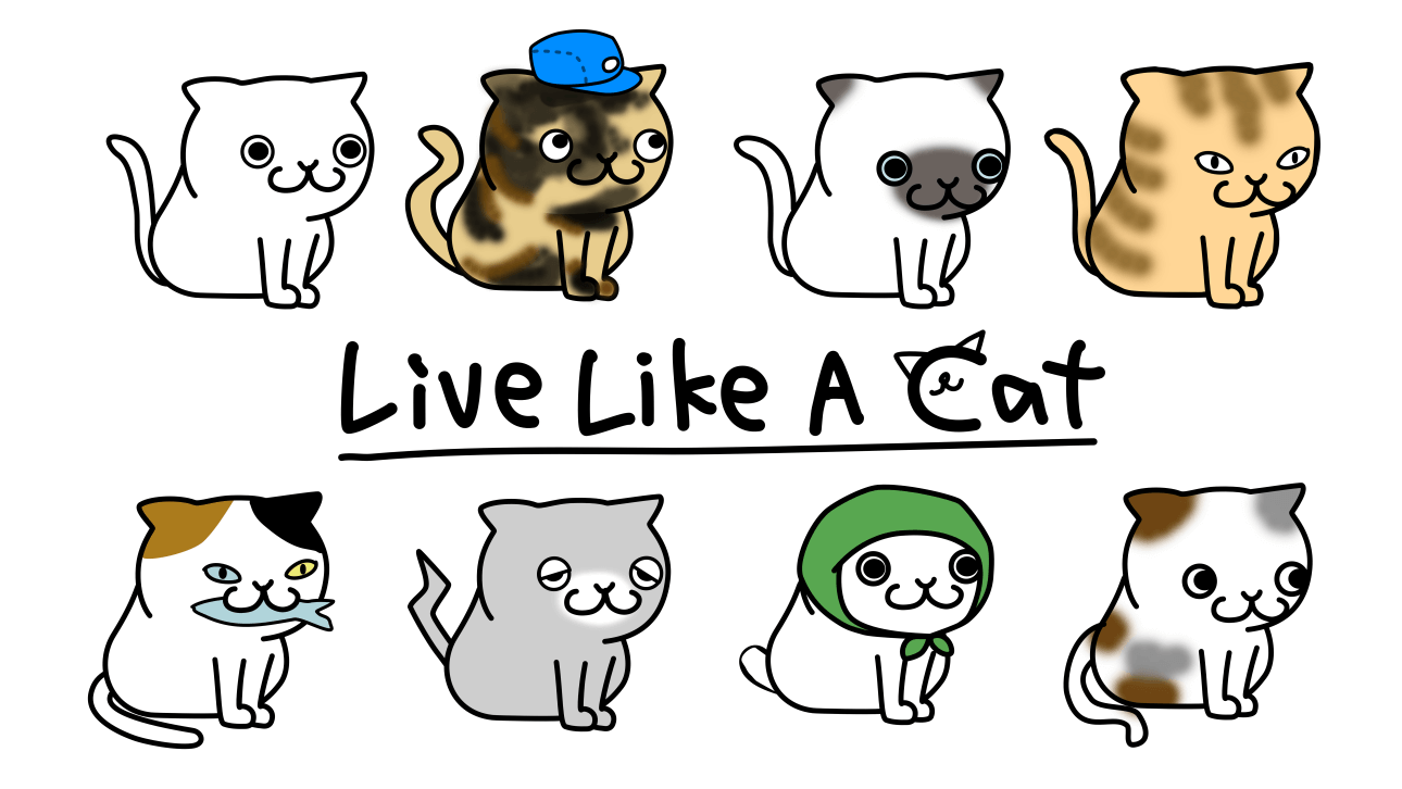how-to-buy-live-like-a-cat1