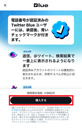 Twitterプロフィール NFTアイコン Twitter Blue2