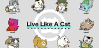 Live Like a Cat